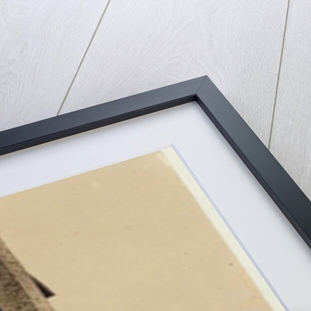 Housing for workers at the Rome Hosiery Mill, Georgia, 1913 by Lewis Wickes Hine