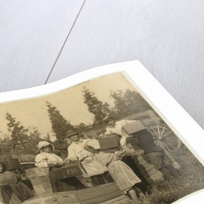 Children carrying their pecks of cranberries to the 'bushel man' at Theodore Budd's Bog, Turkeytown near Pemberton, New Jersey, 1910 by Lewis Wickes Hine