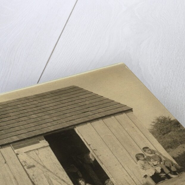 De Marco family shack for cranberry pickers at Forsythe's Bog, Turkeytown, near Pemberton, New Jersey, 1910 by Lewis Wickes Hine