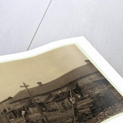Housing for about 50 employees of Maggioni Canning Co., Port Royal, South Carolina, surrounded by marsh and on an old shell pile, 1912 by Lewis Wickes Hine