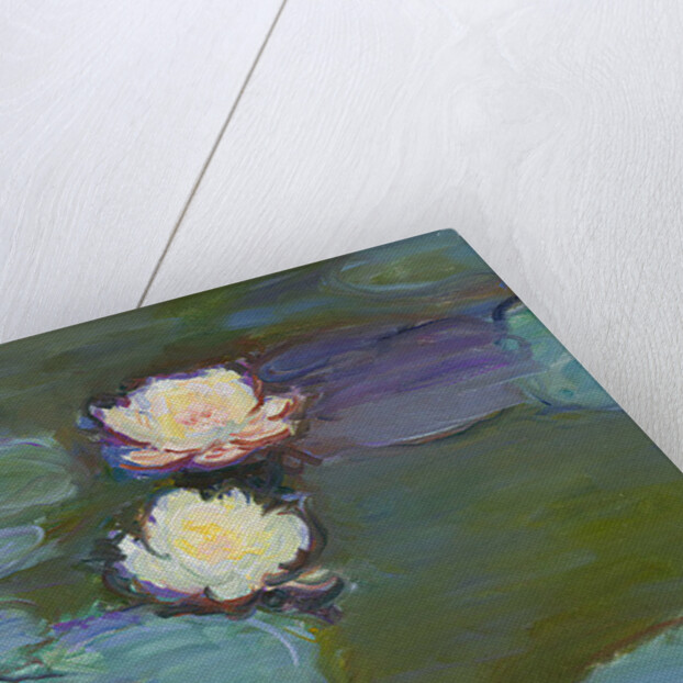 Nympheas, 1897-8 by Claude Monet