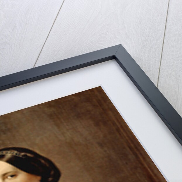 Portrait of a Venetian Woman, c.1852 by Francesco Hayez