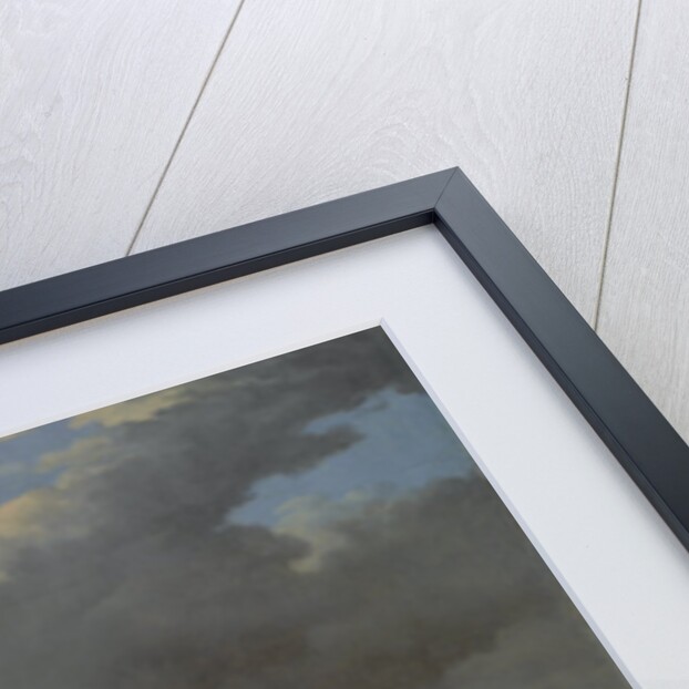 The 'Piebald' Horse, c.1650-4 by Paulus Potter