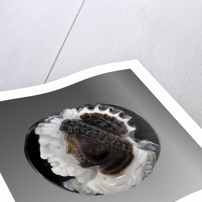 Cameo, 18th or 19th century by School European