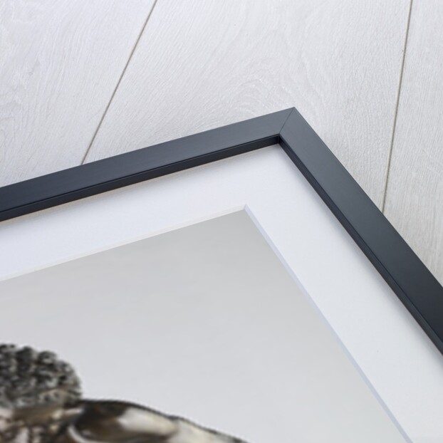 Dancing Faun, 1722-4 by Pietro Cipriani