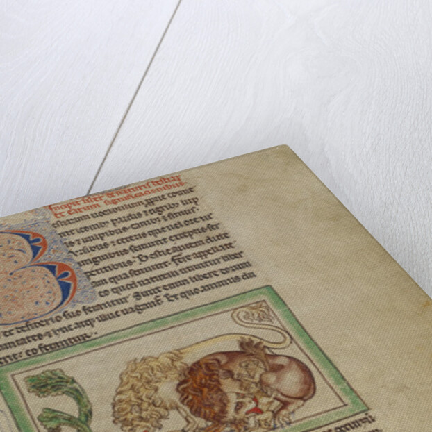 Northumberland Bestiary, c.1250-60 by English School