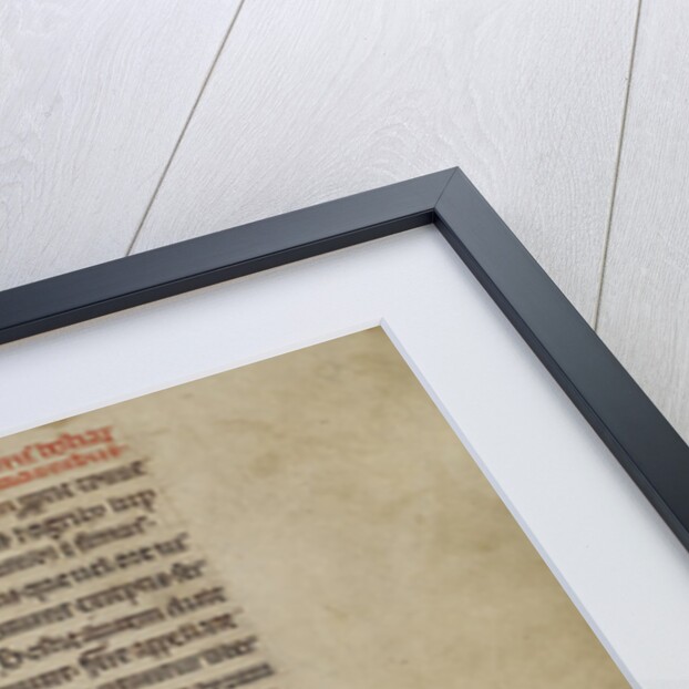 Northumberland Bestiary, c.1250-60 by English School