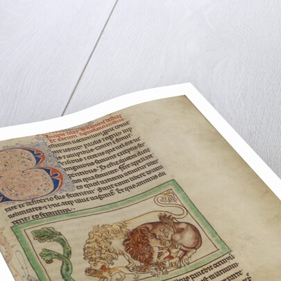 Northumberland Bestiary, c.1250-60 by English School