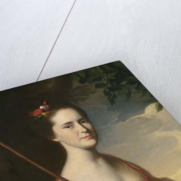 Elizabeth Gray Otis, c.1764 by John Singleton Copley