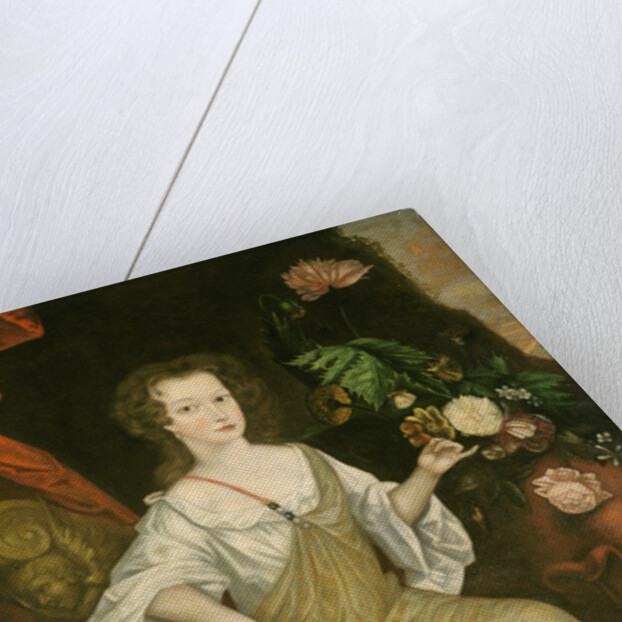 Young woman with a butterfly, c.1710 by American School