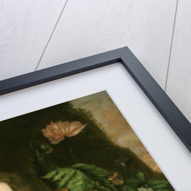Young woman with a butterfly, c.1710 by American School