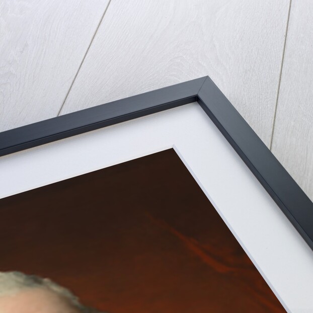 George Washington, 1795 by Gilbert Stuart