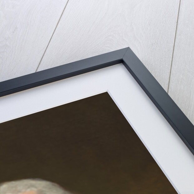 Lawrence Reid Yates, 1793-4 by Gilbert Stuart