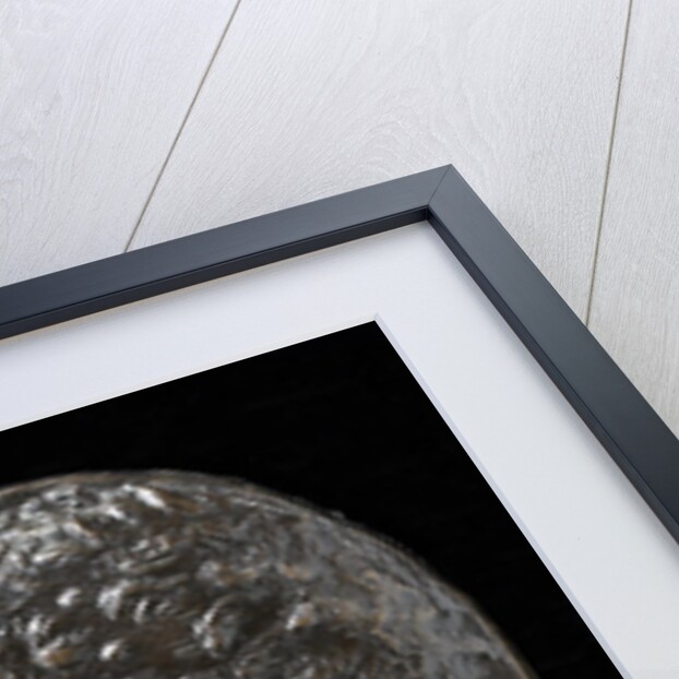 Self-Portrait, c.1435 by Leon Battista Alberti