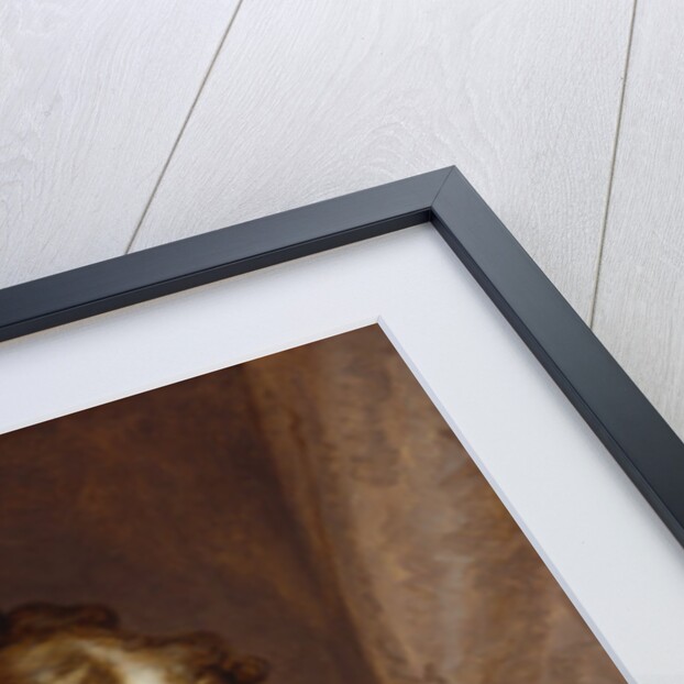 Ann Barry, 1803-5 by Gilbert Stuart