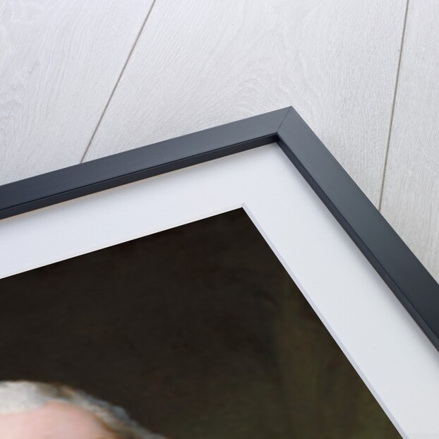 George Washington by Gilbert Stuart