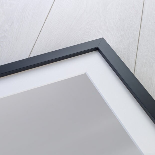 Plaque at the summit of Petermann Island, Antartica by Anonymous