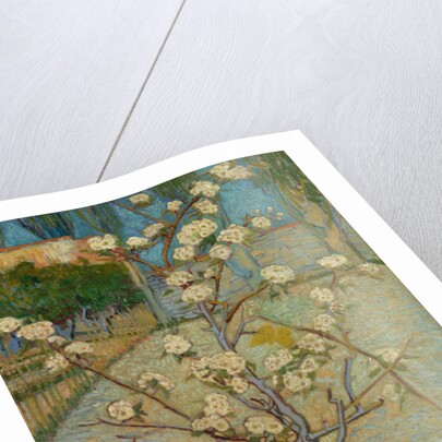 Small pear tree in blossom, 1888 by Vincent van Gogh