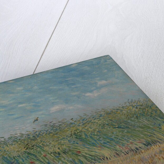 Wheatfield with Partridge, 1887 by Vincent van Gogh