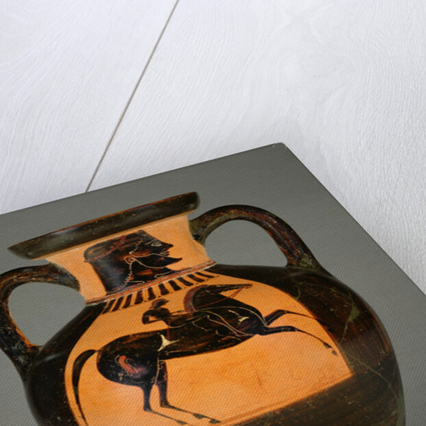 Athenian Attic black-figure amphora with naked rider, c.570-60 by Greek school