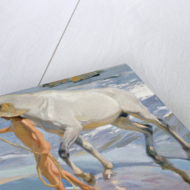 Washing the Horse, 1909 by Joaquin Sorolla y Bastida