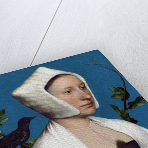 Lady with a Squirrel and a Starling, c.1526-28 by Hans Holbein the Younger