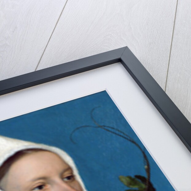 Lady with a Squirrel and a Starling, c.1526-28 by Hans Holbein the Younger