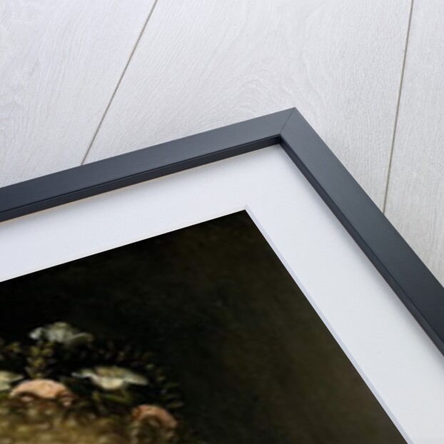 Portrait of a Woman, 1550-74 by Fontainebleau School