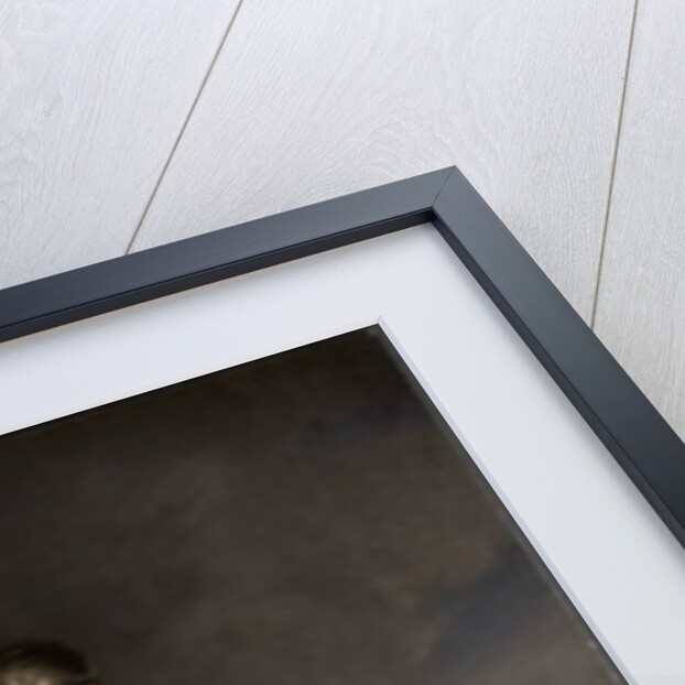 Portrait of Louis Napoleon, King of Holland,1809 by Charles Howard Hodges