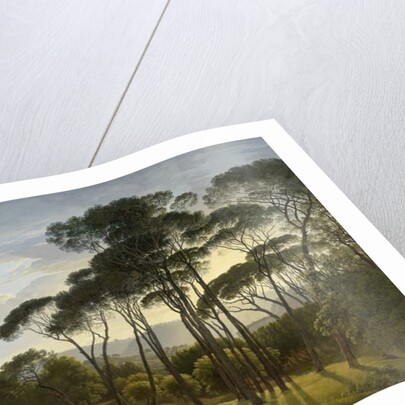 Italian Landscape with Umbrella Pines, 1807 by Hendrik Voogd