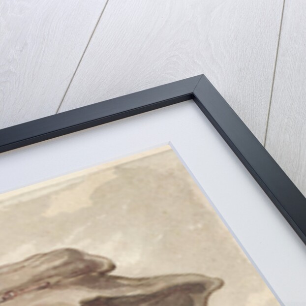 A Soldier's Widow, 1815-20 by Thomas Rowlandson