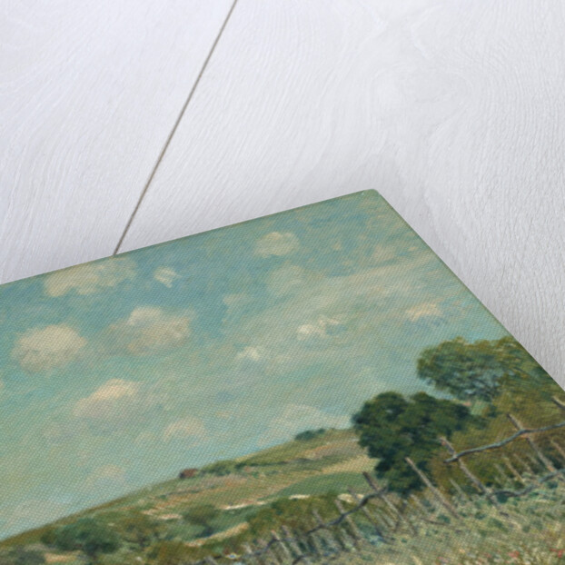 Meadow, 1875 by Alfred Sisley