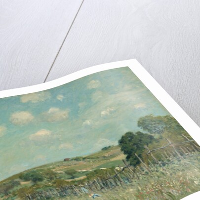 Meadow, 1875 by Alfred Sisley