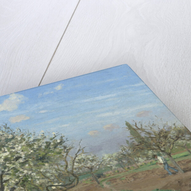 Orchard in Bloom, Louveciennes, 1872 by Camille Pissarro