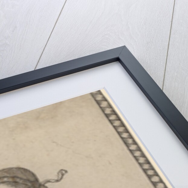 Musicha c.1465 by Master of the E-Series Tarocchi