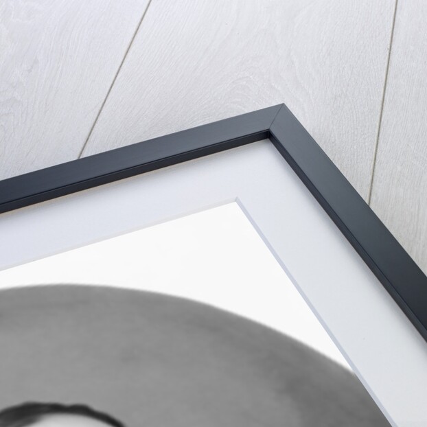 General William Sherman, c.1865 by American School