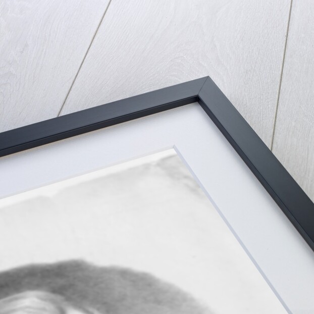 US president William Henry Harrison, 1841 by Thomas Campbell