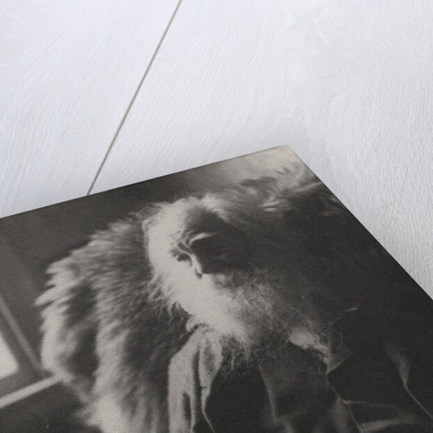 Walt Whitman, 1891 by Thomas Cowperthwait Eakins