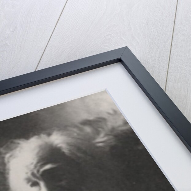 Walt Whitman, 1891 by Thomas Cowperthwait Eakins