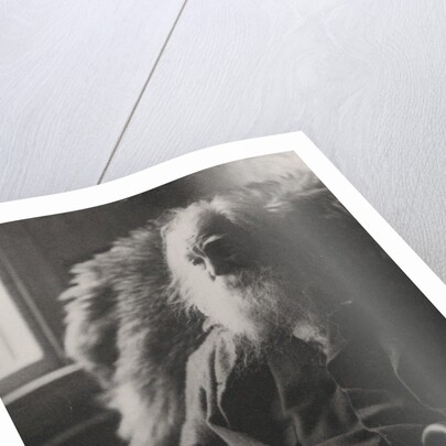 Walt Whitman, 1891 by Thomas Cowperthwait Eakins