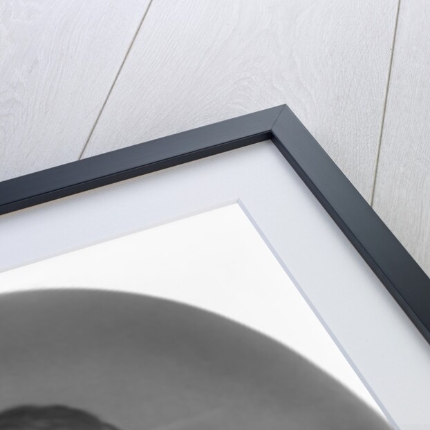 Major General Ulysses S. Grant, c.1866 by American Photographer