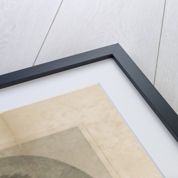 Alexander Wilson, 1814 by John James Barralet