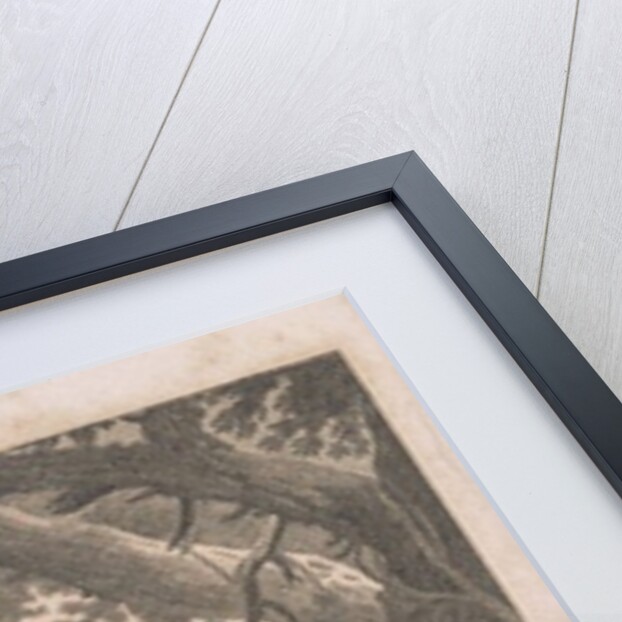 Alexander Wilson and companions on the Susquehanna, 1809 by American School