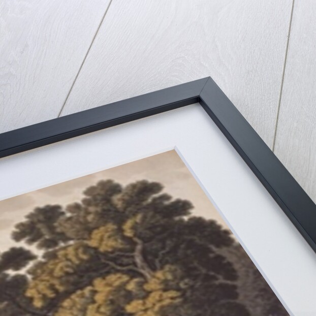 George Town and Federal City, or City of Washington, 1801 by George Beck