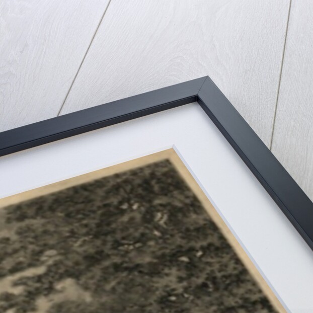 Washington, 1795 by George Isham Parkyns