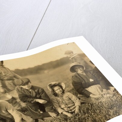 Annette Roy said to be 7 and Napoleon Ruel said to be 9 picking cranberries at Smart's Bog, South Carver, Massachusetts, 1911 by Lewis Wickes Hine