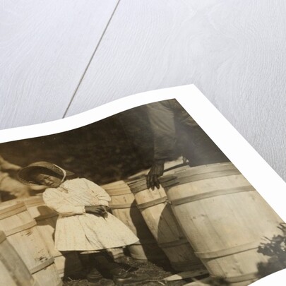 Mary Christmas, only 3, made to pick cranberries spilt at the barrels by her grandfather, Week's Bog, Falmouth, Massachusetts, 1911 by Lewis Wickes Hine