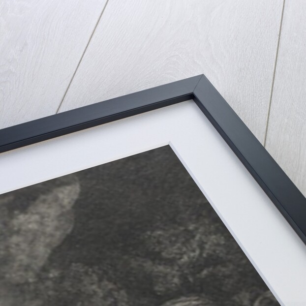 The Angel Appearing to the Shepherds, 1634 by Rembrandt Harmensz. van Rijn