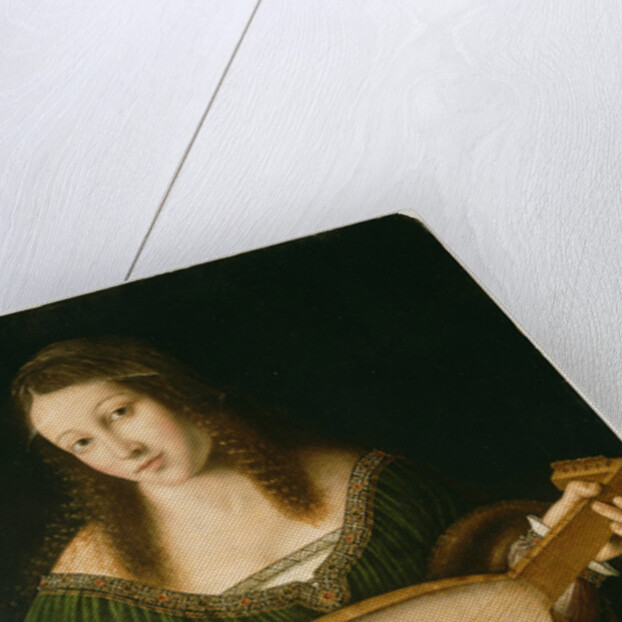 Lady Playing a Lute, c.1530 by Veneto Bartolomeo
