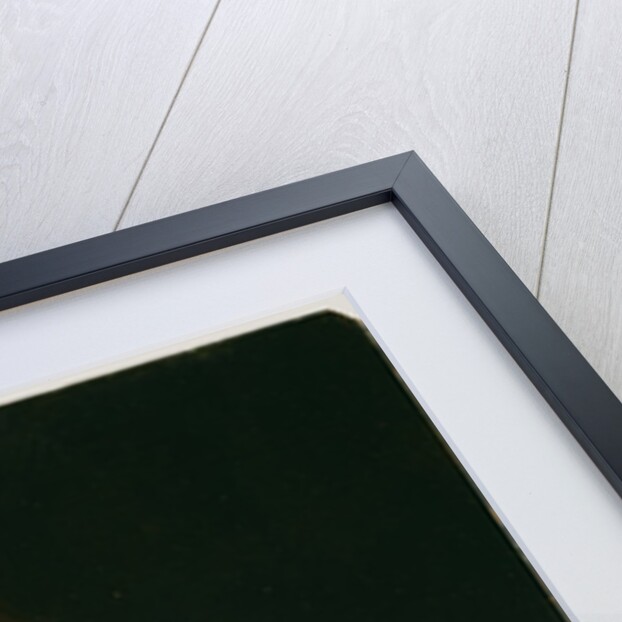 Lady Playing a Lute, c.1530 by Veneto Bartolomeo